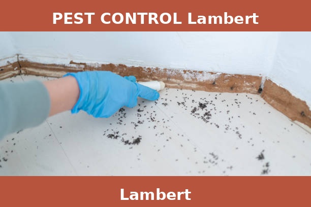 PEST CONTROL Lambert